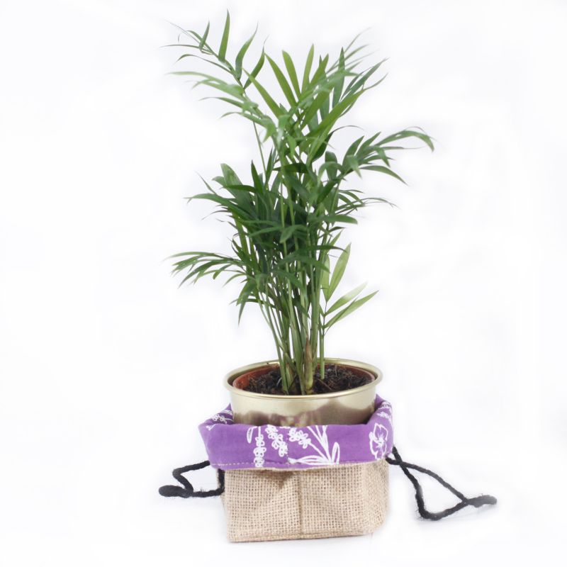 Lavendel Futter Mittel