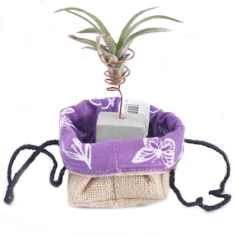 Lavendel Futter klein