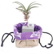 Lavendel Futter klein