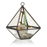 Glas/Metal Terrarium -kleine Pyramidenform