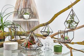 Glas/Metal Terrarium - Große Pyramide