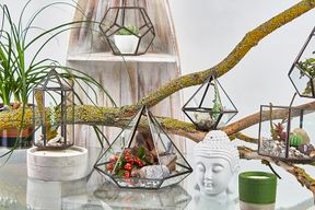 Glas/Metal Terrarium -kleine Pyramidenform