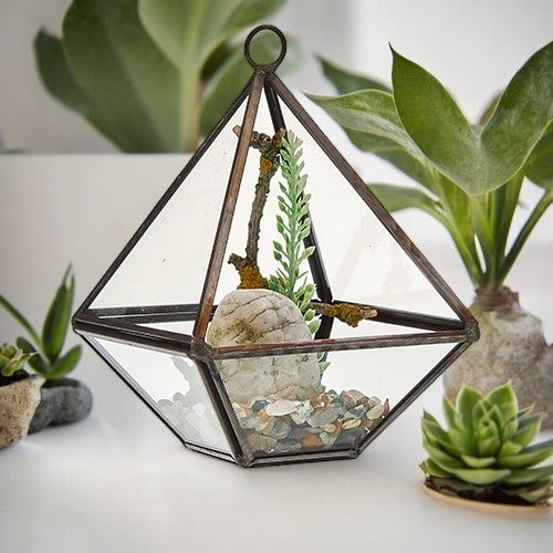 Glas/Metal Terrarium -kleine Pyramidenform