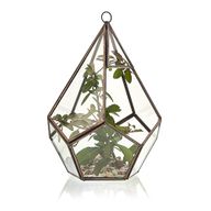 Glas/Metal Terrarium - Große Pyramide