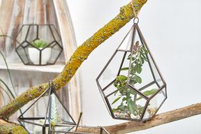 Glas/Metal Terrarium - Große Pyramide