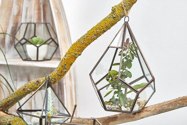 Glas/Metal Terrarium - Große Pyramide