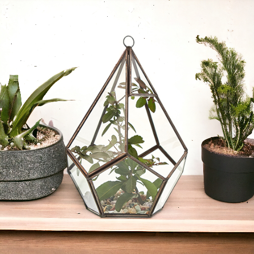 Glas/Metal Terrarium - Große Pyramide