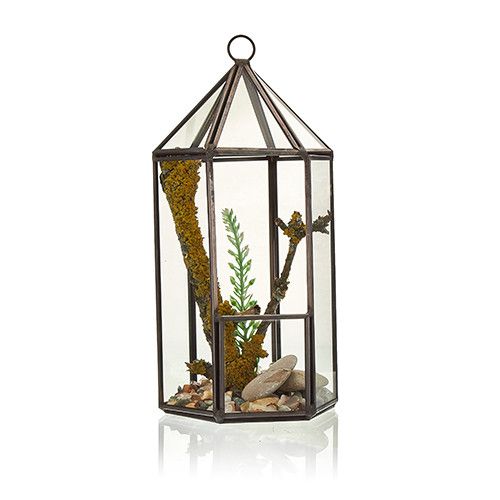 Glas/Metal Terrarium - Laternenform