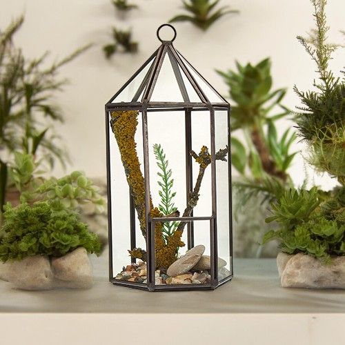Glas/Metal Terrarium - Laternenform