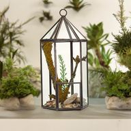 Glas/Metal Terrarium - Laternenform