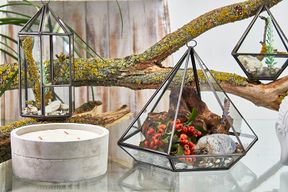 Glas/Metal Terrarium - große Diamantform
