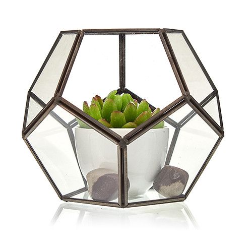 Glas/Metal Terrarium - Großes Achteck