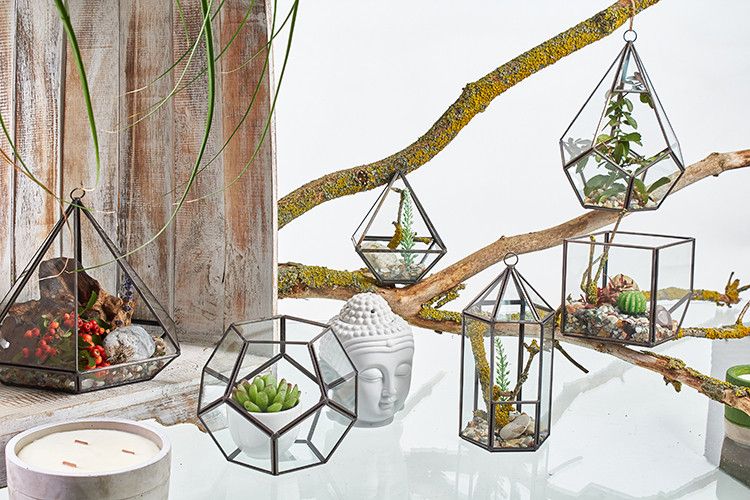 Glas/Metal Terrarium - Großes Achteck