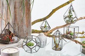 Glas/Metal Terrarium - Großes Achteck