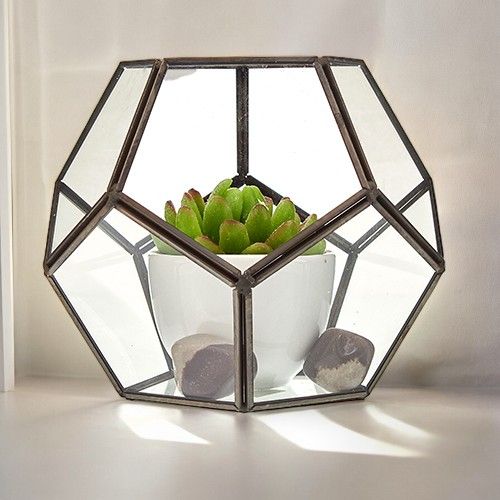 Glas/Metal Terrarium - Großes Achteck