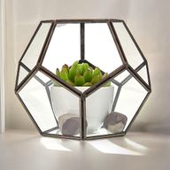 Glas/Metal Terrarium - Großes Achteck