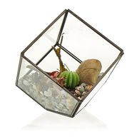 Glas/Metal Terrarium - Würfel auf der Ecke