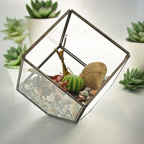 Glas/Metal Terrarium - Würfel auf der Ecke