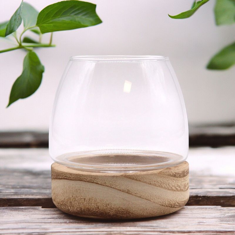 Mini-Terarium auf natürlichem Tungholz- 10x10cm
