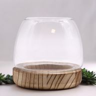 Kleines Terarium auf natürlichem Tungholz - 13x13cm