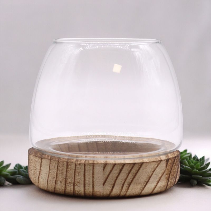 Kleines Terarium auf natürlichem Tungholz - 13x13cm