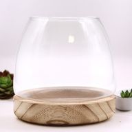 Mittleres Terarium auf natürlichem Tungholz - 15x15cm