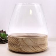 Großes Terarium auf natürlichem Tungholz - 17x19cm