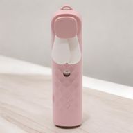 Rosa Nano Nebel Gesichtsventilator und Spray – über USB wiederaufladbar