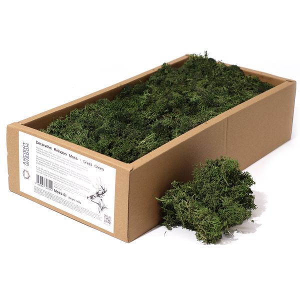 Hochwertiges dekoratives Rentiermoos – Grasgrün – 500-g-Box