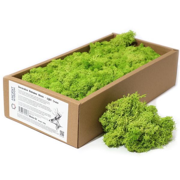 Hochwertiges dekoratives Rentiermoos – Helles Grasgrün – 500-g-Box
