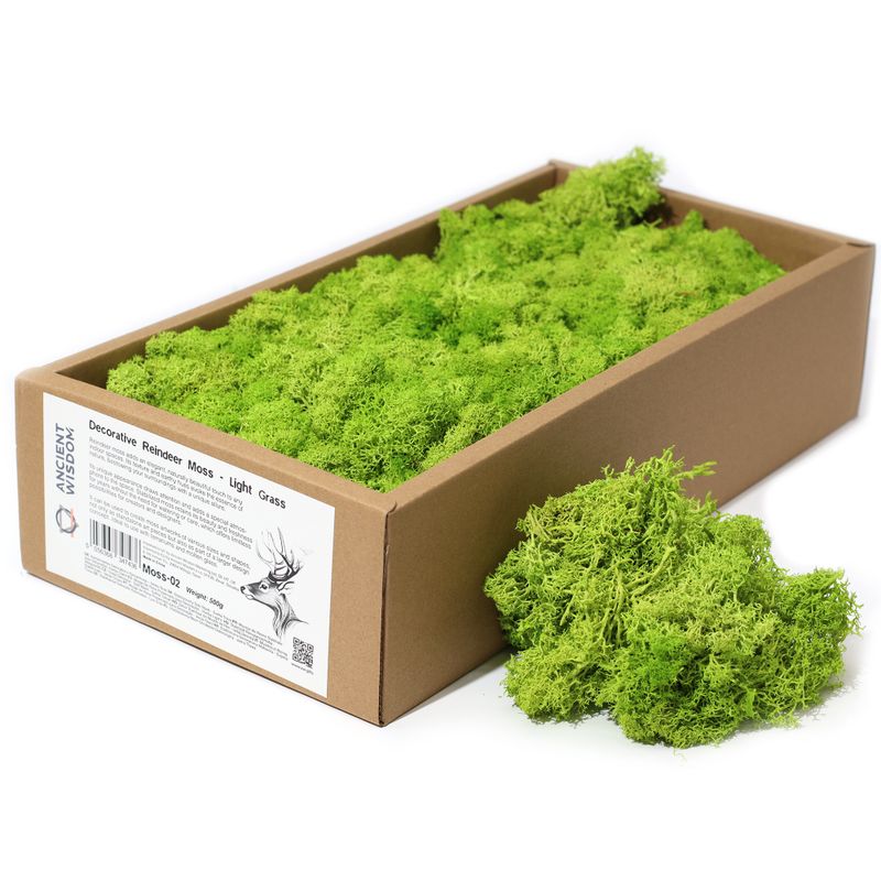 Hochwertiges dekoratives Rentiermoos – Helles Grasgrün – 500-g-Box