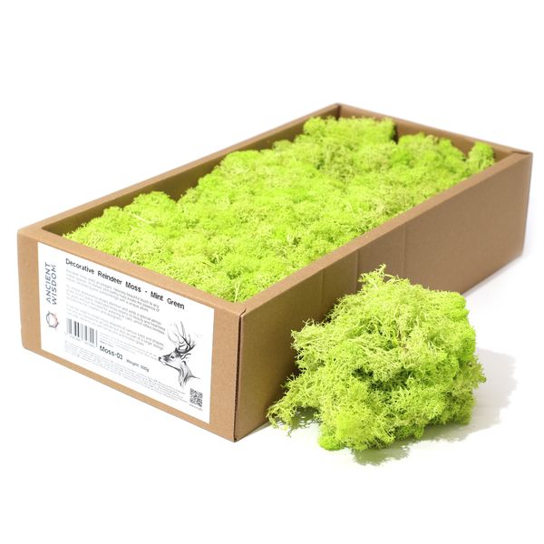 Hochwertiges dekoratives Rentiermoos – Mintgrün – 500-g-Box
