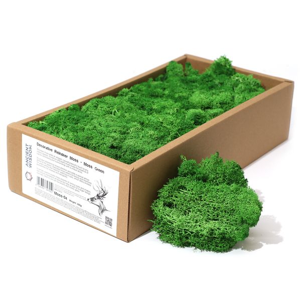 Hochwertiges dekoratives Rentiermoos – Moosgrün – 500-g-Box
