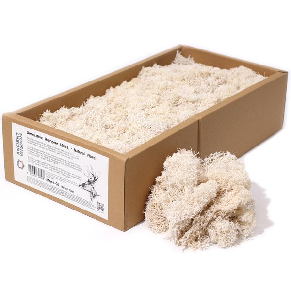 Hochwertiges dekoratives Rentiermoos – Natural Vibes – 500-g-Box