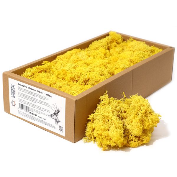 Hochwertiges dekoratives Rentiermoos – Gelb – 500-g-Box