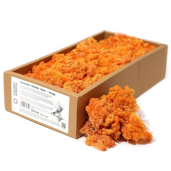 Hochwertiges dekoratives Rentiermoos – Orange – 500-g-Box