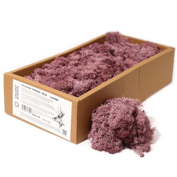 Hochwertiges dekoratives Rentiermoos – Lavendel – 500-g-Box