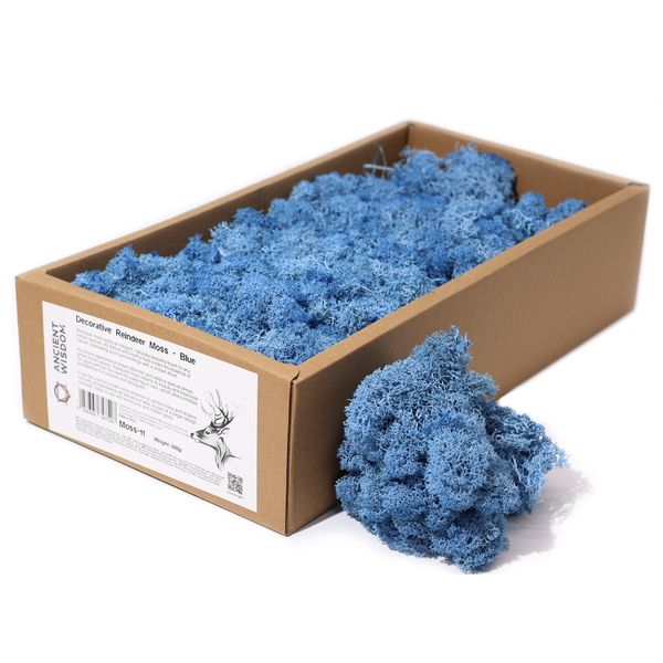Hochwertiges dekoratives Rentiermoos – Blau – 500-g-Box