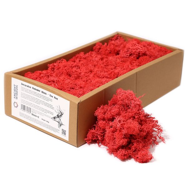 Hochwertiges dekoratives Rentiermoos – Feuerrot – 500-g-Box
