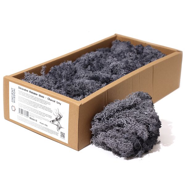 Hochwertiges dekoratives Rentiermoos – Anthrazitgrau – 500-g-Box