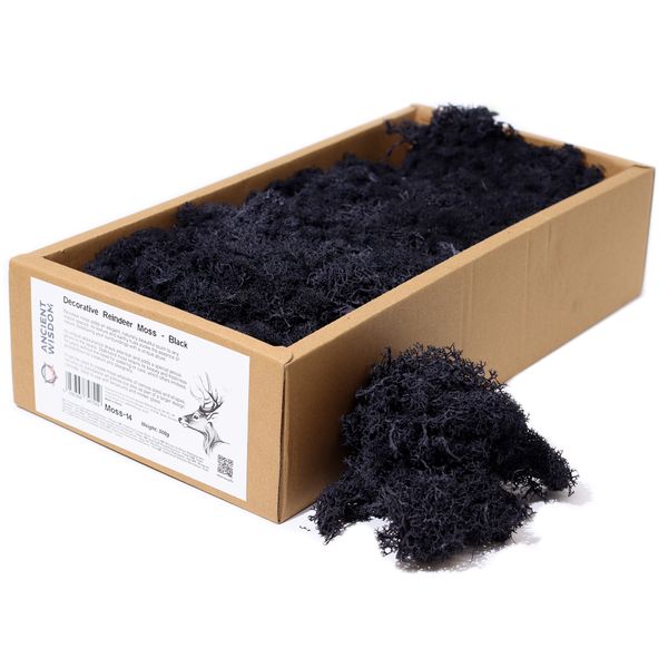 Hochwertiges dekoratives Rentiermoos – Schwarz – 500-g-Box