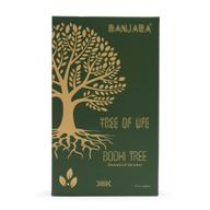 Banjara Botanische Räucherstäbchen- Bodhi-Baum