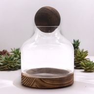 Mittleres Terarium mit Kugeldeckel auf dunklem Tungholz- 17x22cm
