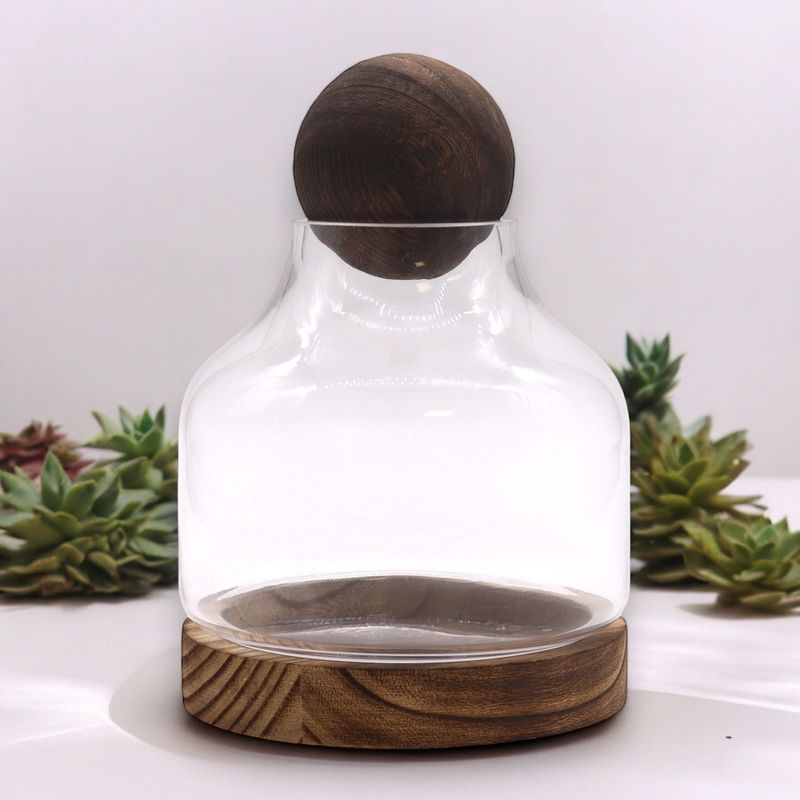 Mittleres Terarium mit Kugeldeckel auf dunklem Tungholz- 17x22cm