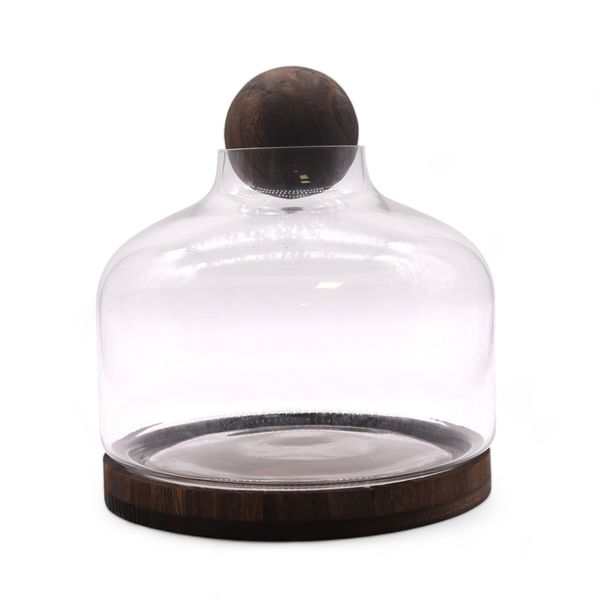 Extra großes Terarium mit Kugeldeckel auf dunklem Tungholz - 23x23cm