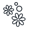 Seifenblumen