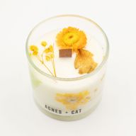 Agnes + Cat Botanische Sojakerze - Rydal Oudh