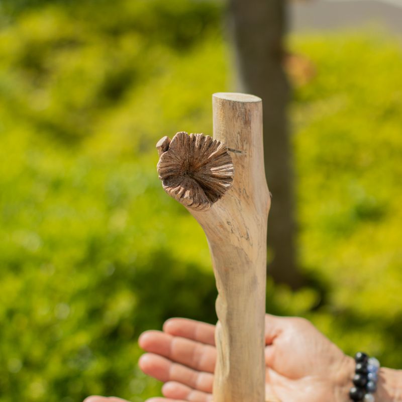 Handgefertigte Parasiten-Holzkunst-Schnitzerei – Greenman