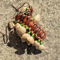 Kenari-Muschel-Ankelschüttler - Rasselarmband (20 Muscheln)