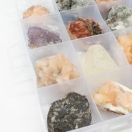 Mineralproben - 24 Stück gemischter indischer Zeolithe in einer Vitrine